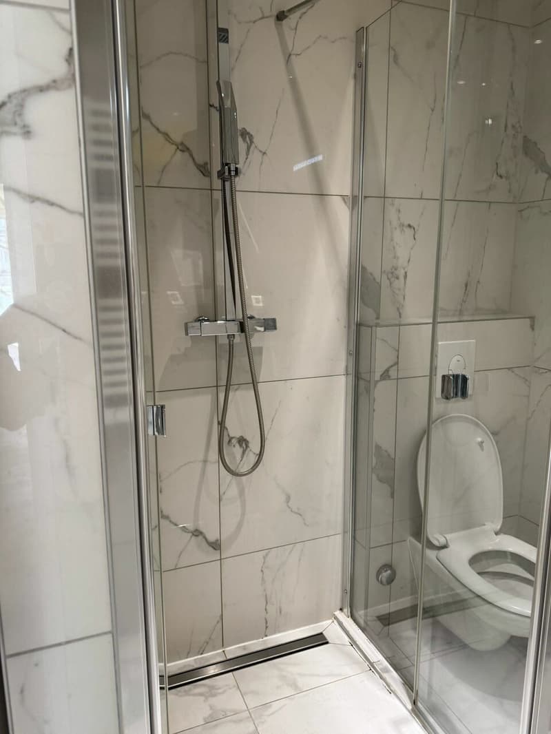 Très bel appartement rénové de 3 pièces à Champel (9)