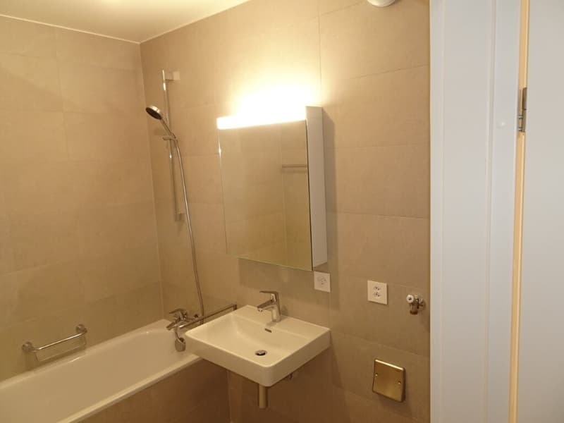 Très beau 4 pièces dans immeuble presque neuf (/!\ conditions HM) (11)