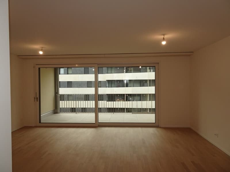 Très beau 4 pièces dans immeuble presque neuf (/!\ conditions HM) (4)
