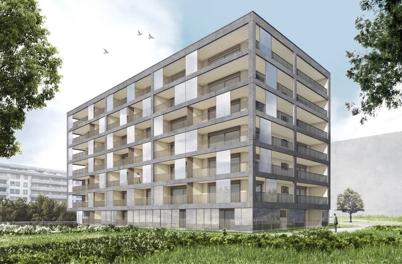 Très beau 4 pièces dans immeuble presque neuf (/!\ conditions HM) (1)