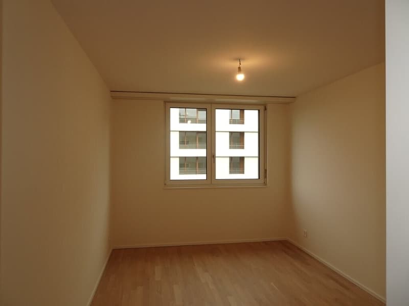 Très beau 4 pièces dans immeuble presque neuf (/!\ conditions HM) (7)