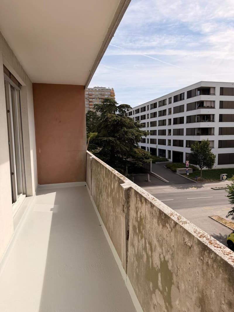Appartement rénové de 5 pièces à Thônex (4)
