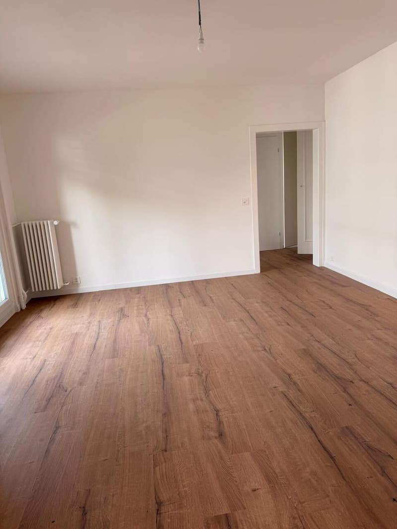 Appartement rénové de 5 pièces à Thônex (7)
