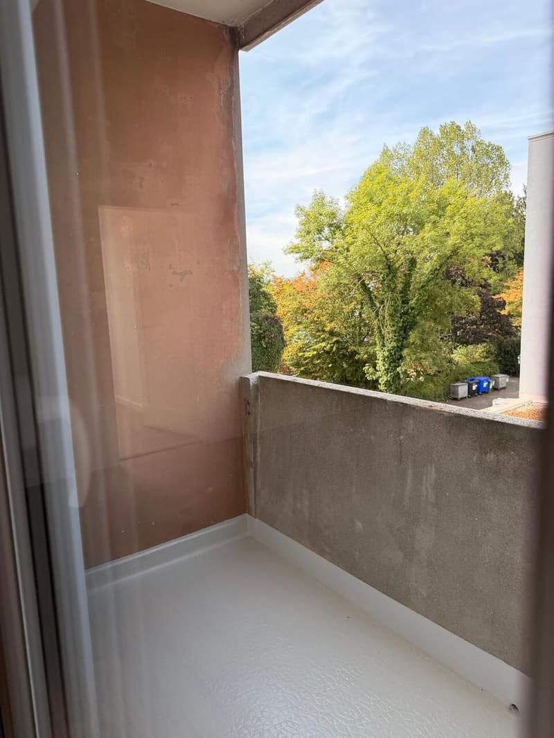 Appartement rénové de 5 pièces à Thônex (3)