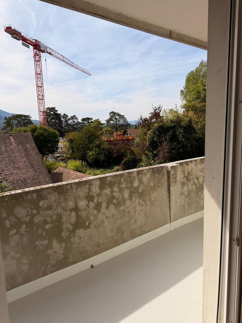 Appartement rénové de 5 pièces à Thônex (2)