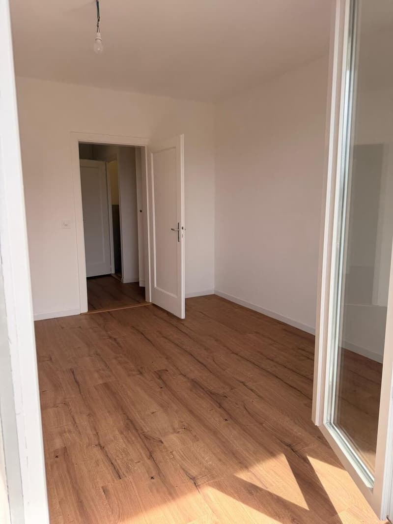 Appartement rénové de 5 pièces à Thônex (10)