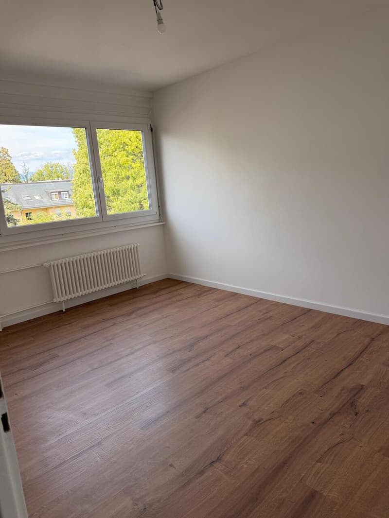 Appartement rénové de 5 pièces à Thônex (8)