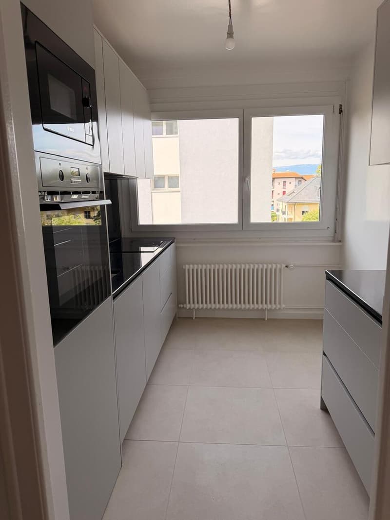 Appartement rénové de 5 pièces à Thônex (11)