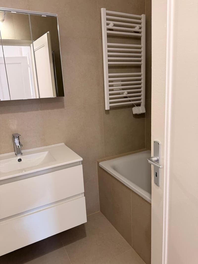 Appartement rénové de 5 pièces à Thônex (12)