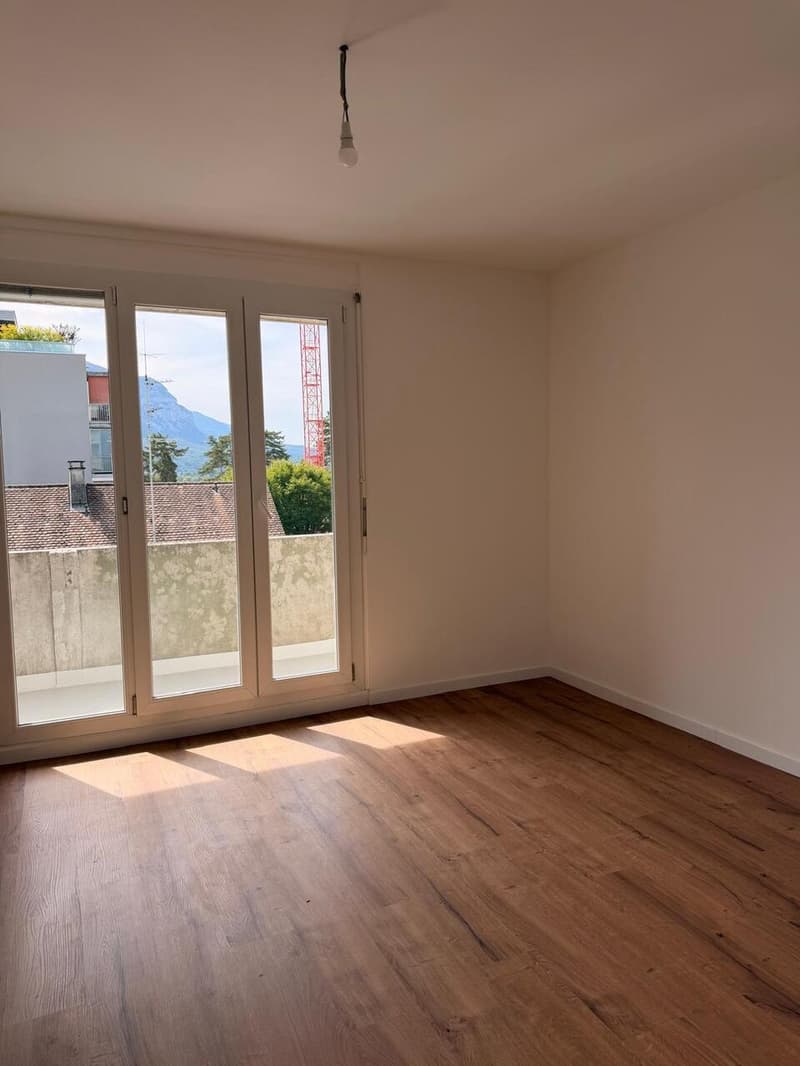 Appartement rénové de 5 pièces à Thônex (5)