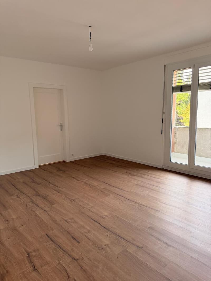 Appartement rénové de 5 pièces à Thônex (6)