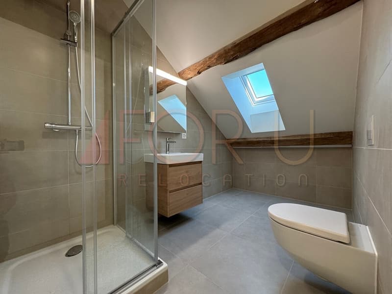 Ancienne ferme transformée en triplex de 6.5 pièces à Avusy (7)