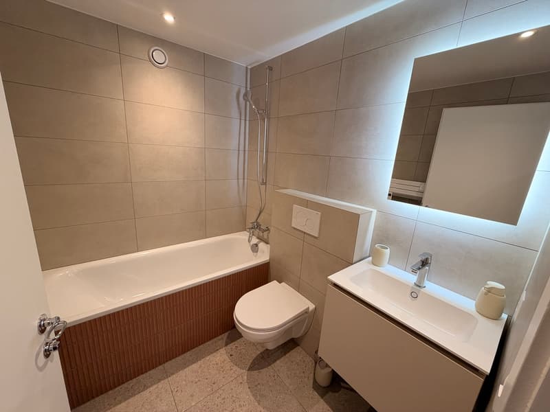 Vieille Ville DUPLEX 4.5p (8)