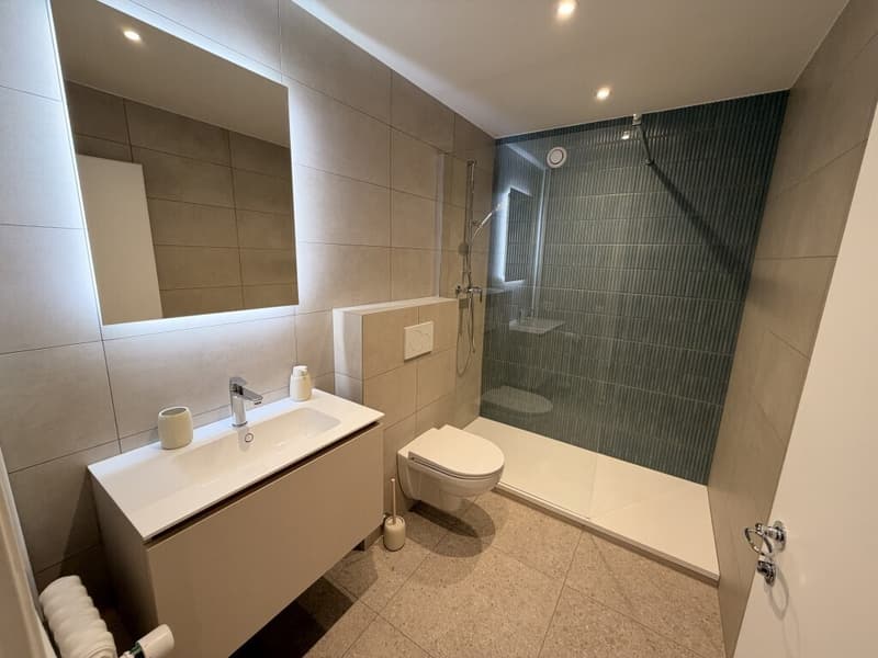 Superbe duplex de 4.5 pièces en vieille-ville de Genève (9)