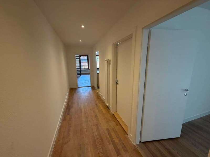 Superbe duplex de 4.5 pièces en vieille-ville de Genève (7)
