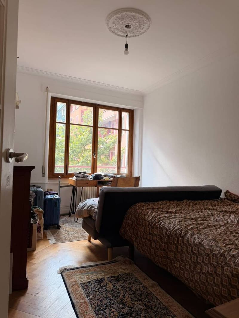Bel appartement 4 pièces de style ancien au centre-ville de Genève (4)