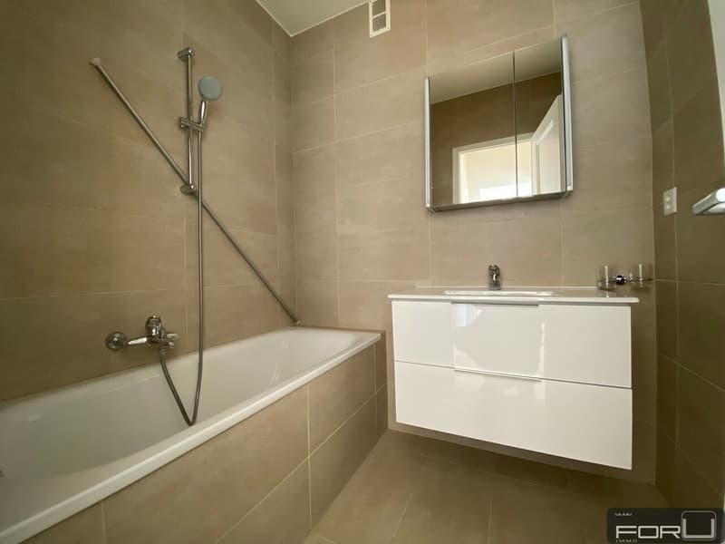 Bel appartement rénové de 3 pièces avec balcon à Carouge (6)