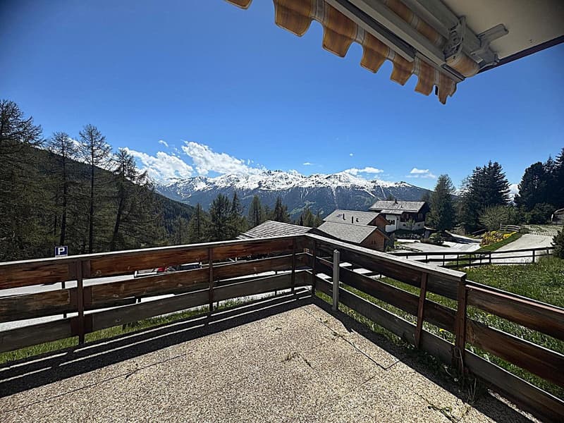 Exclusivité : Charmant 2.5 pièces, grande terrasse plein sud, vue splendide (4)