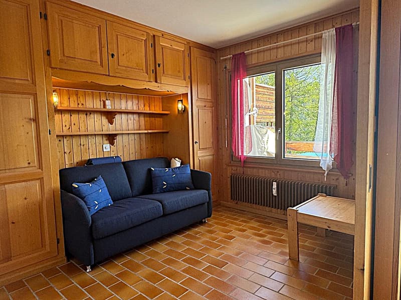 Exclusivité : Charmant 2.5 pièces, grande terrasse plein sud, vue splendide (9)
