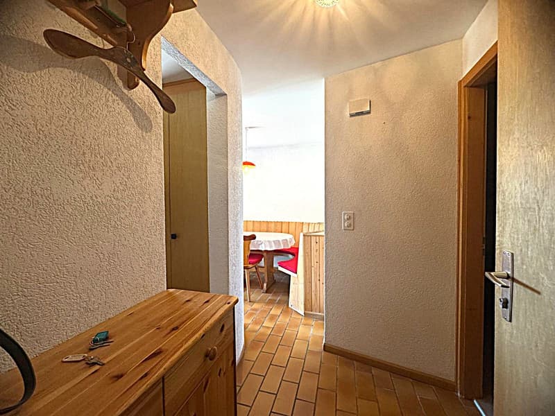 Exclusivité : Charmant 2.5 pièces, grande terrasse plein sud, vue splendide (11)