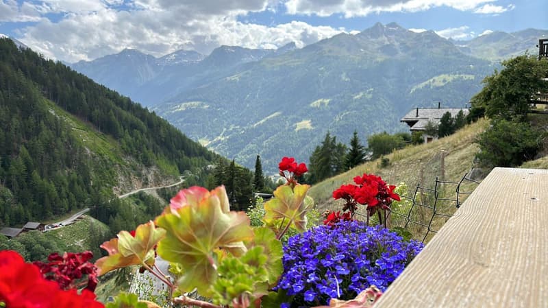 Chalet Le Nid à St-Luc – studio 30m2 avec grande terrasse à 200m des pistes (10)