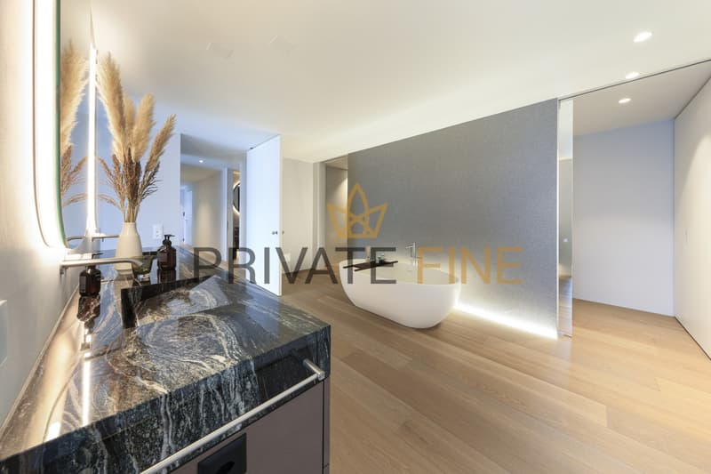 Prestige Appartment mit grosser Terrasse über dem Lago Maggiore (16) (5)