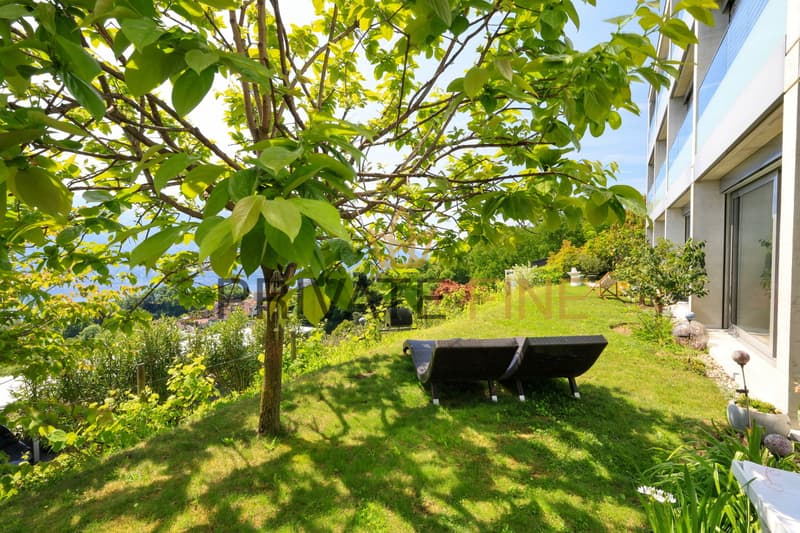 Grosse 5-Zi Gartenwohnung, Seesicht, Pool und Zweitwohnsitz (53) (3)