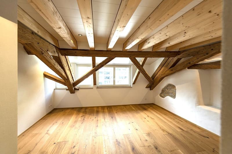 Grande appartamento moderno mansardato con accesso diretto dall'ascensore (7)