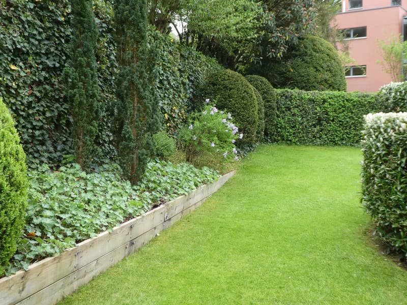 Familienfreundliches Reiheneckhaus mit idyllischem Garten und Weitsicht bis nach Basel (3)