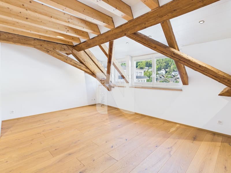 Charmante, sanierte Maisonettewohnung mit Lift, Balkon und eigenem Waschturm (2)