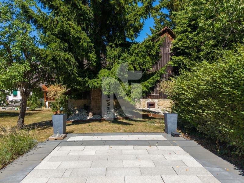 Ein Haus - drei Wohnungen - unzählige Möglichkeiten, ideal für Familien und Anleger (4)
