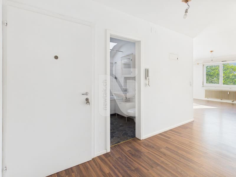 1-Zimmer-Wohnung mit schöner Aussicht, grossem Parkplatz und Ausbauoptionen (5)