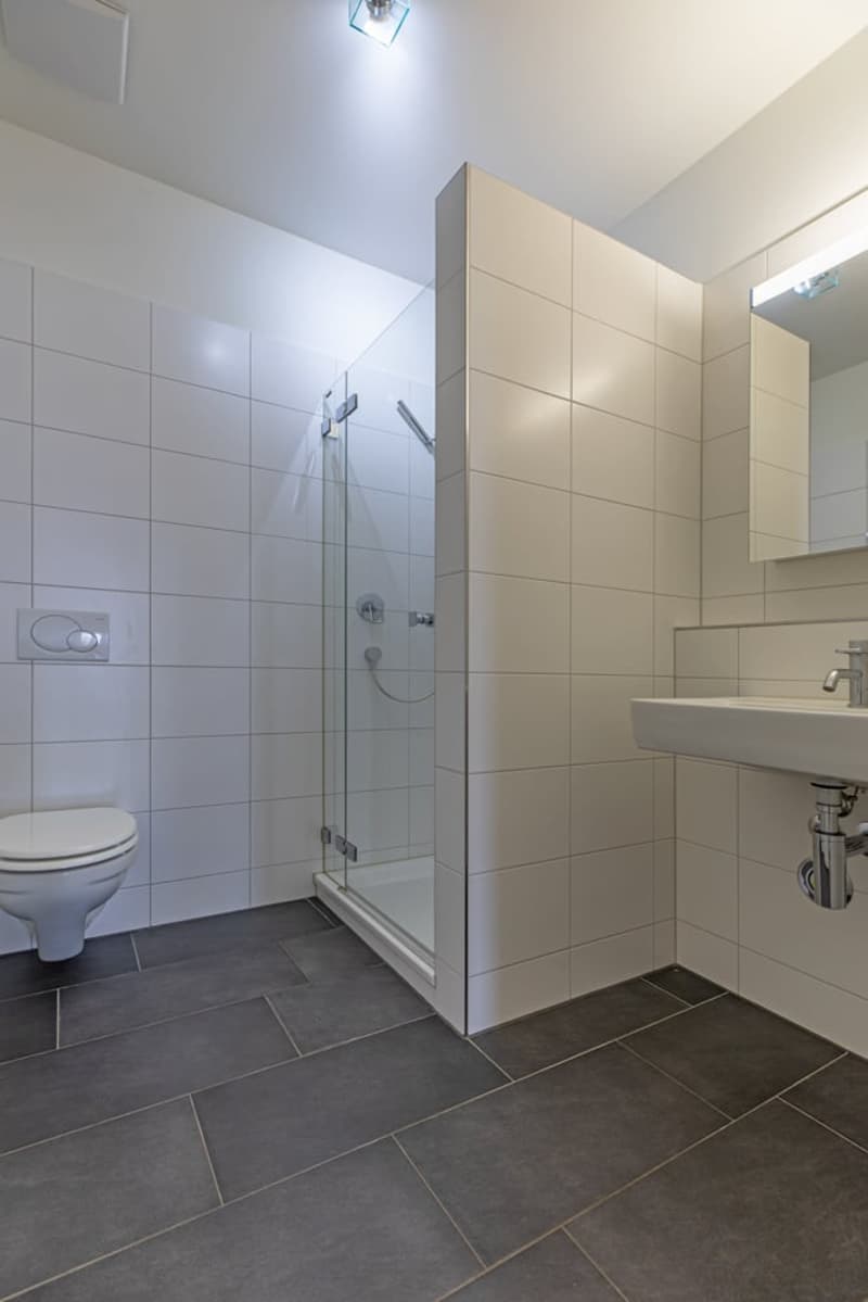 Helle 4.5-Zimmer-Wohnung mit Balkon und Garage in Wädenswil – sofort verfügbar (18)