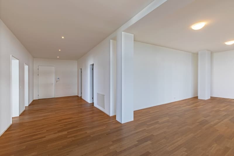 Helle 4.5-Zimmer-Wohnung mit Balkon und Garage in Wädenswil – sofort verfügbar (5)