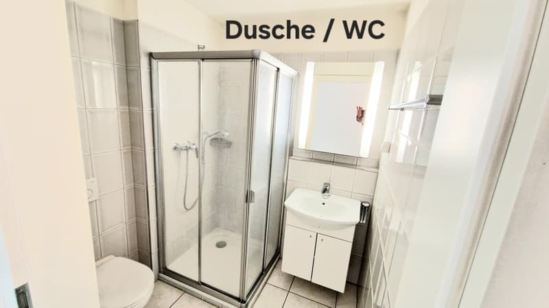 Geräumige 4.5-Zimmer-Wohnung mit Balkon in Dietikon – sofort verfügbar! (11)