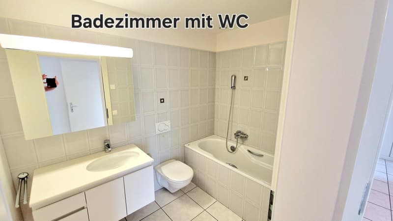 Geräumige 4.5-Zimmer-Wohnung mit Balkon in Dietikon – sofort verfügbar! (10)