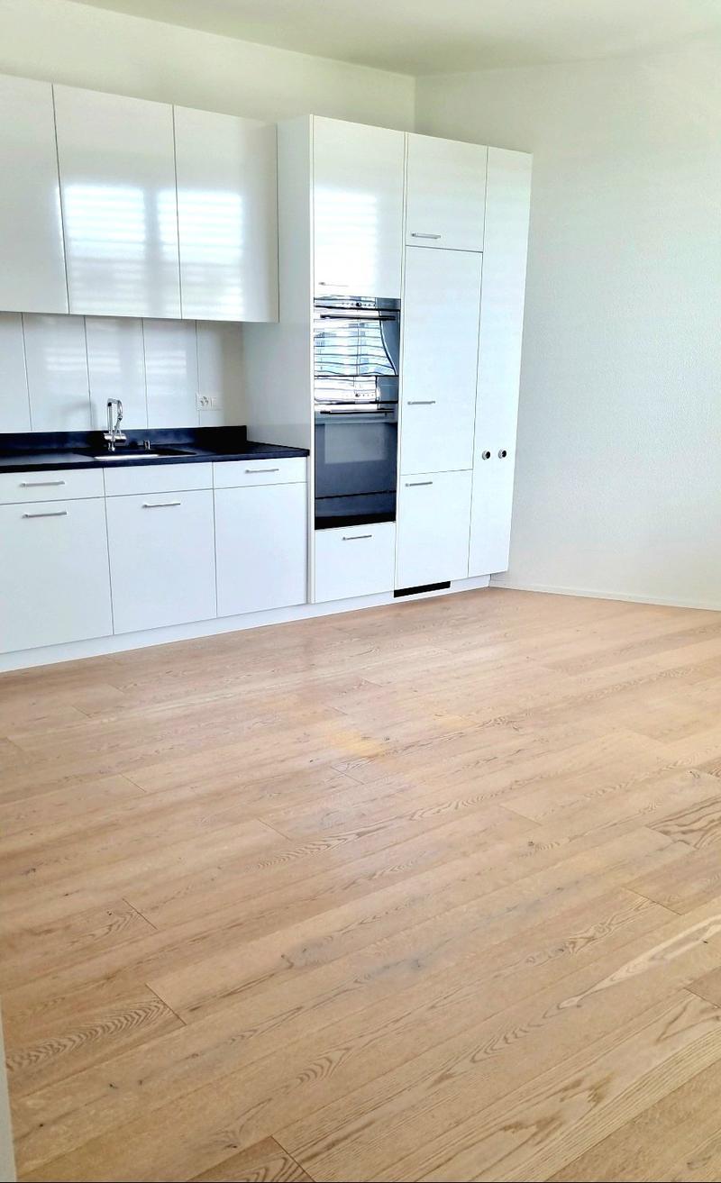 Grosszügige 3 1/2-Zimmer-Wohnung im Richtiareal Wallisellen (1)