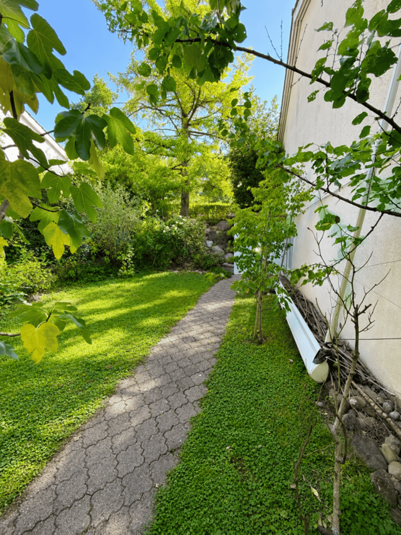 CASA ELLA (15)