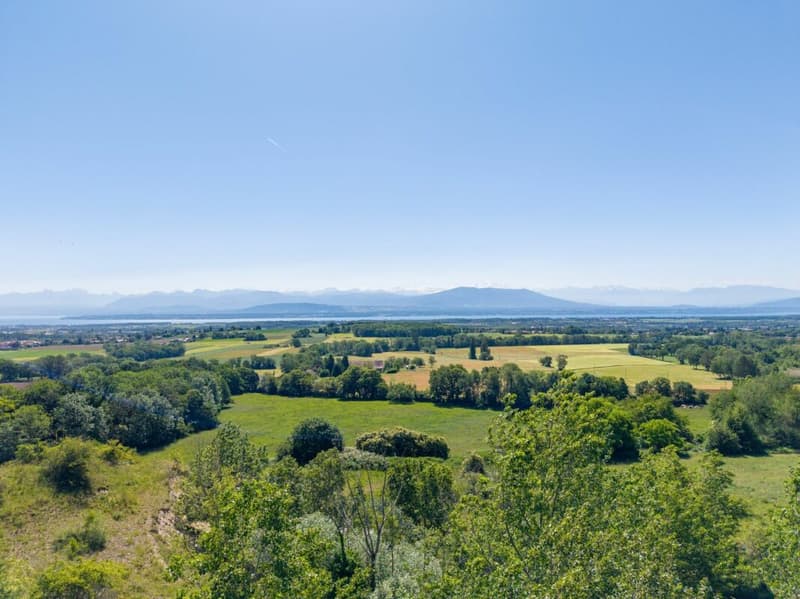 Chalet avec vue panoramique sur le Léman et les Alpes (14)