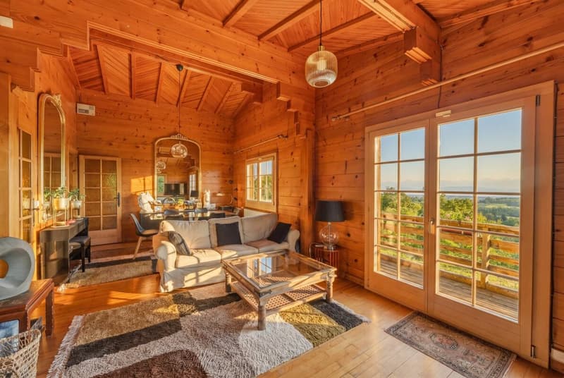 Chalet avec vue panoramique sur le Léman et les Alpes (2)