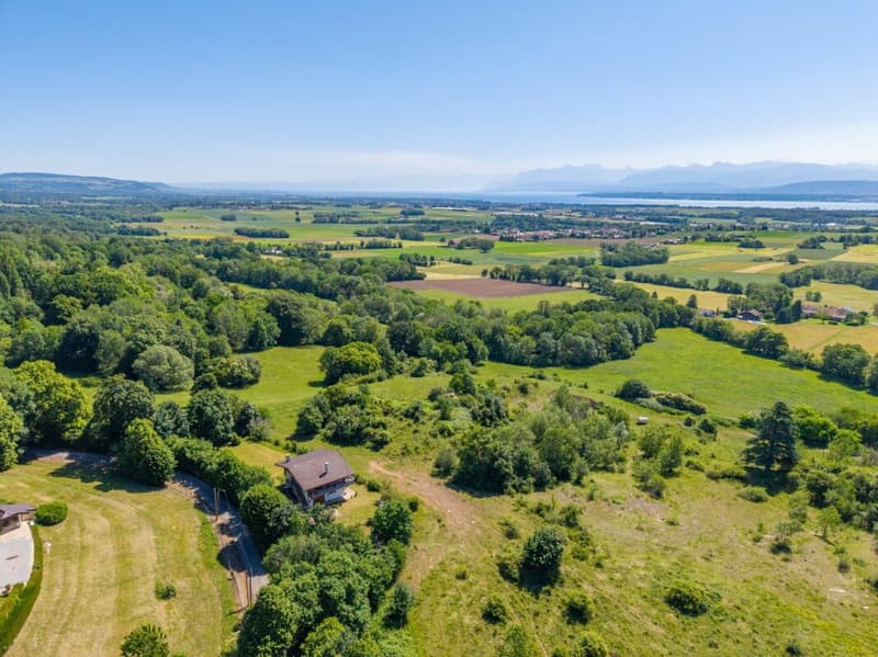 Chalet avec vue panoramique sur le Léman et les Alpes (15)