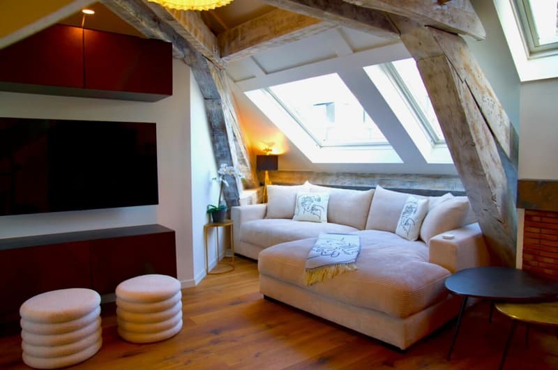 Appartement meublé et équipé au coeur de Genève (4)