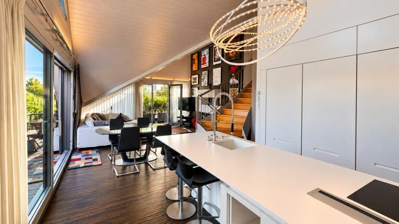Superbe duplex en attique au coeur de Mies (3)