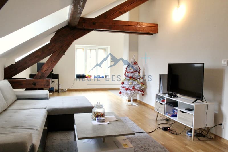 Superbe appartement moderne en attique à Vallorbe ( Lot 11 ) (1)