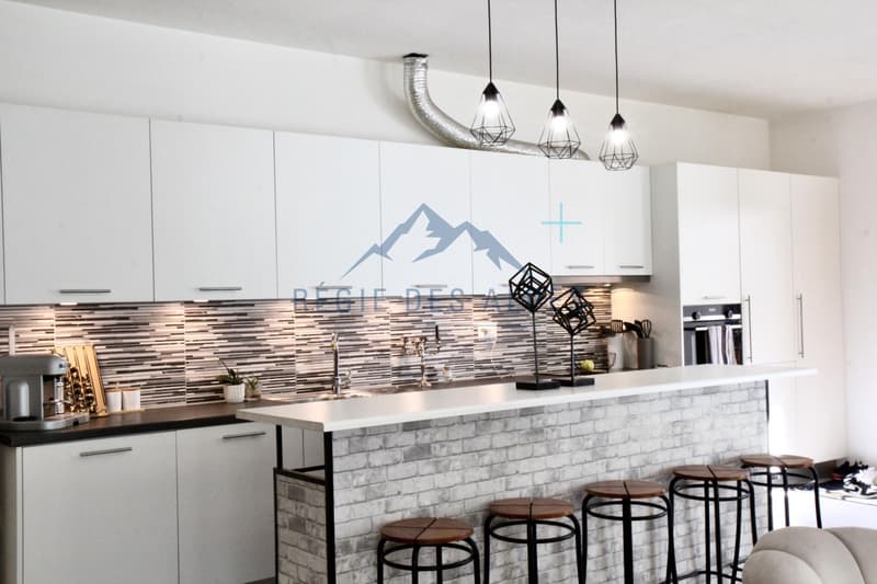 Superbe appartement familial de 5.5 pièces avec terrasse en bordure de rivière à Vallorbe ( Lot 1 ) (4)