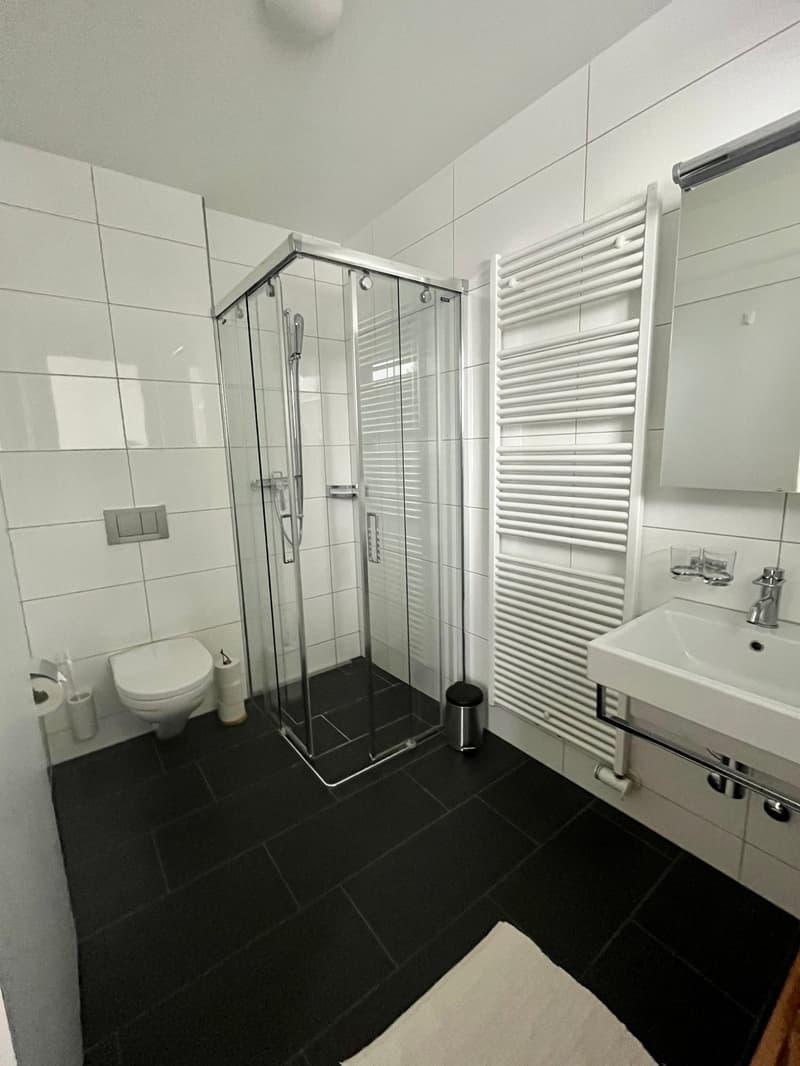 Moderne 1.5-Zimmer-Studio-Wohnung mit Balkon in Davos Platz (6)