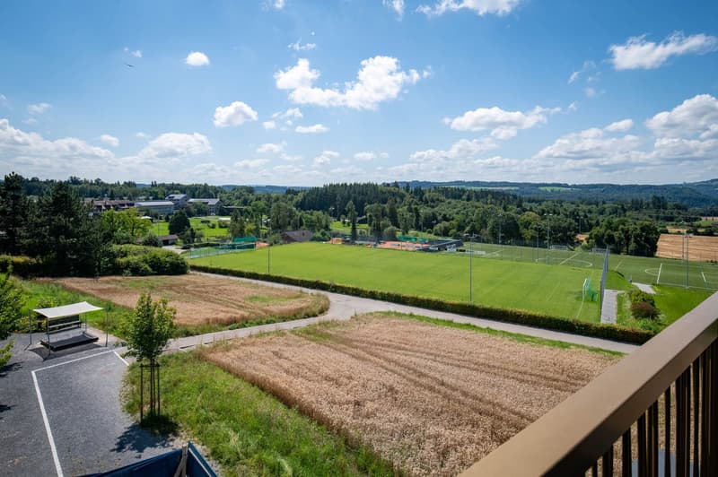 aerial view of a sports field and open landscape with greenery and some trees