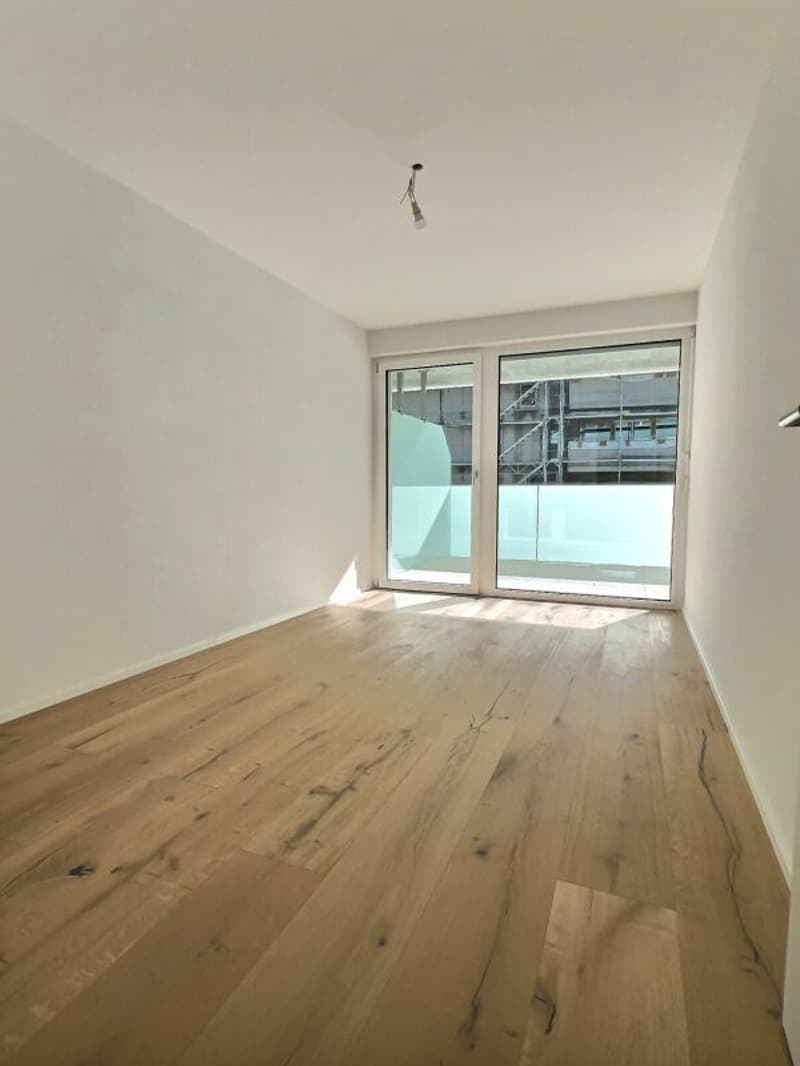 Spacieux 3,5p avec grande terrasse de 30m2 (15)