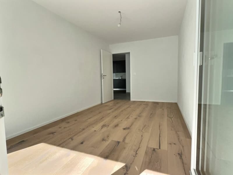 Spacieux 3,5p avec grande terrasse de 30m2 (16)