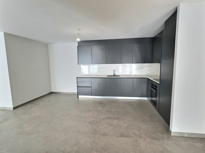 Spacieux 3,5p avec grande terrasse de 30m2 (11)